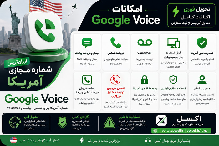 امکانات گوگل ویس